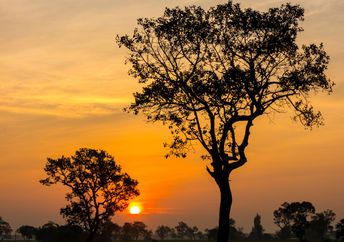 Sunset in Asia.