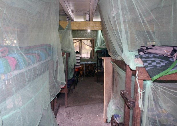 Lucid's mosquito nets in action Lucid's mosquito nets in action