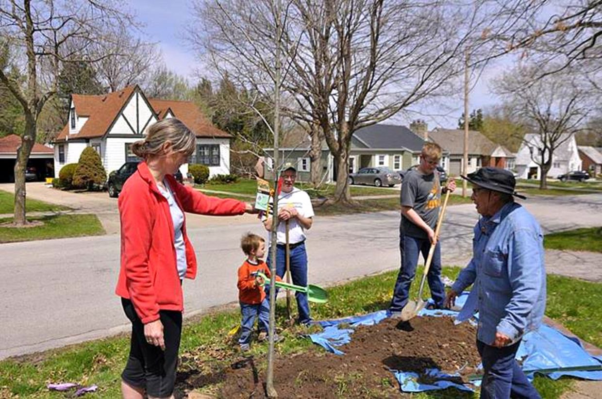 Tree planting activity with Nextdoor members Tree planting activity with Nextdoor members