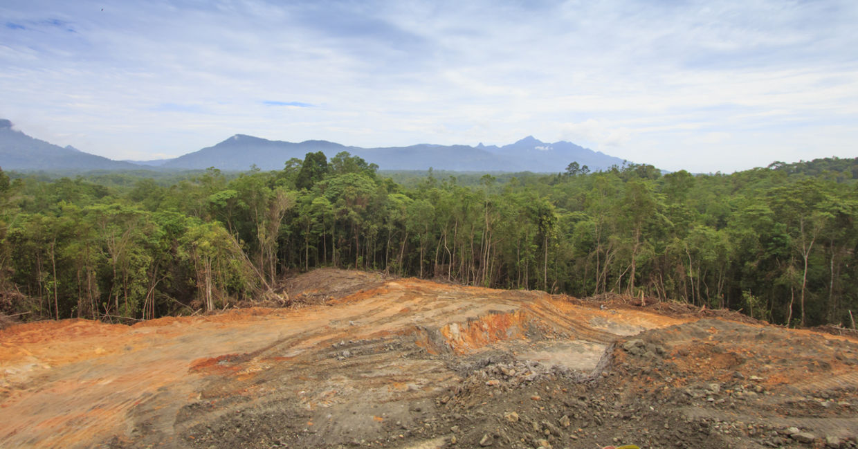 Deforestation: Scarred earth where tropical rain forest has been destroyed by human development in Borneo, Malaysia Deforestation: Scarred earth where tropical rain forest has been destroyed by human development in Borneo, Malaysia