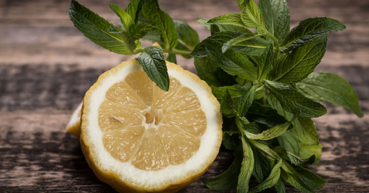 Lemon as a toothbrush? Innovative natural skincare Lemon as a toothbrush? Innovative natural skincare