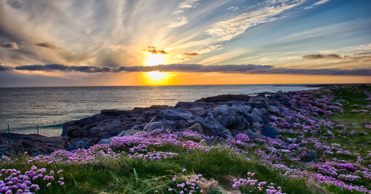 Landscape at sunset