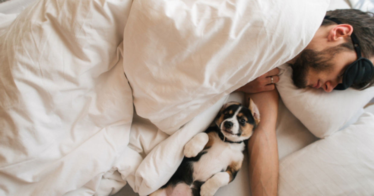 A man is asleep in bed with new innovative bedding. A man is asleep in bed with new innovative bedding.