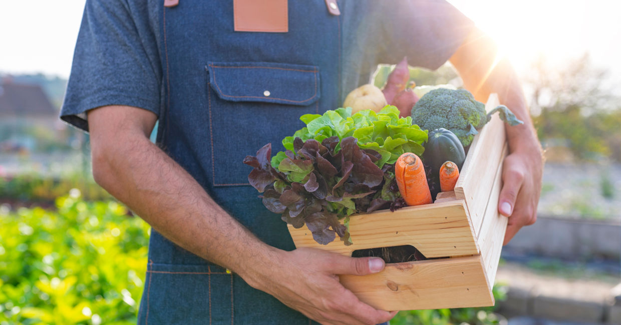 Sustainable food. Sustainable food.