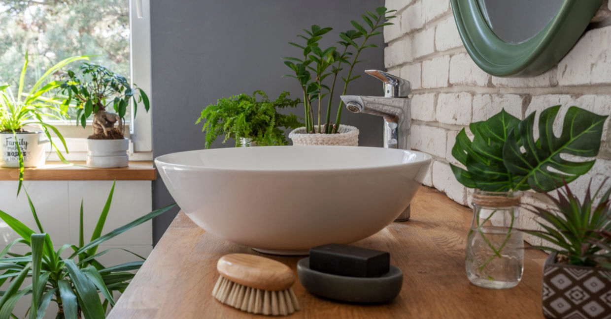 Bathroom filled with plants Bathroom filled with plants