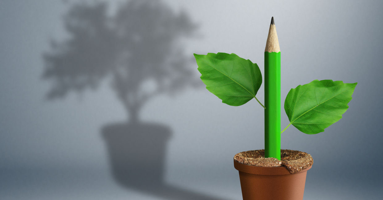 Planted pencil. Planted pencil.