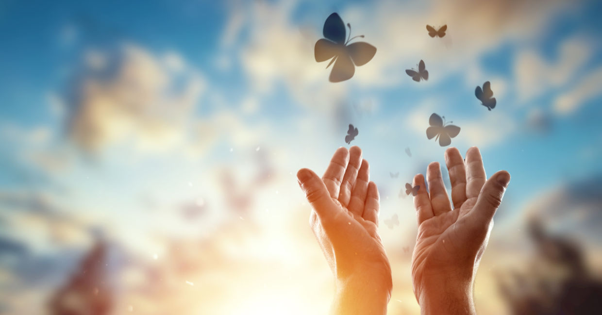 Set yourself free to hope by forgiving. Set yourself free to hope by forgiving.