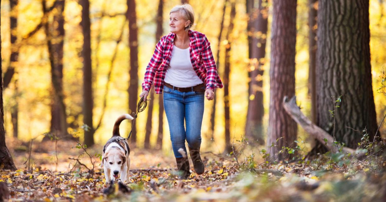 Walking is a good way to unwind after a long day. Walking is a good way to unwind after a long day.