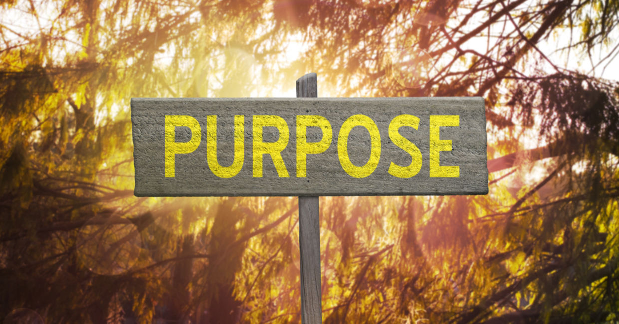 Live a life with ourpose. Live a life with ourpose.