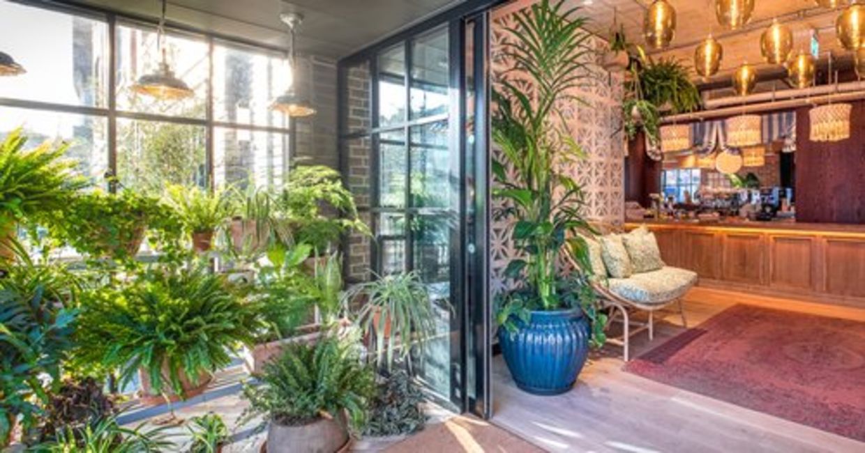 The plant-filled hotel lobby of Room2, Chiswick. The plant-filled hotel lobby of Room2, Chiswick.