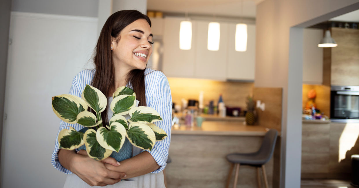 Naming your houseplants can make you a better person. Naming your houseplants can make you a better person.