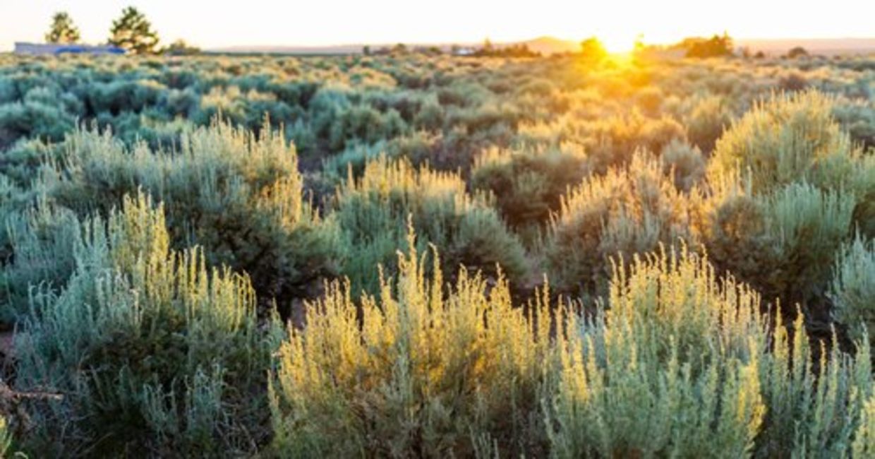 The sun sets near Taos, splashing light across desert sage brush. The sun sets near Taos, splashing light across desert sage brush.