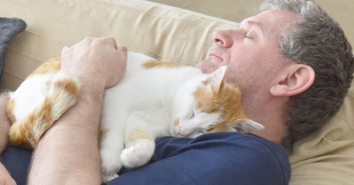 Relaxing with a purring cat is oh so gezellig! Relaxing with a purring cat is oh so gezellig!