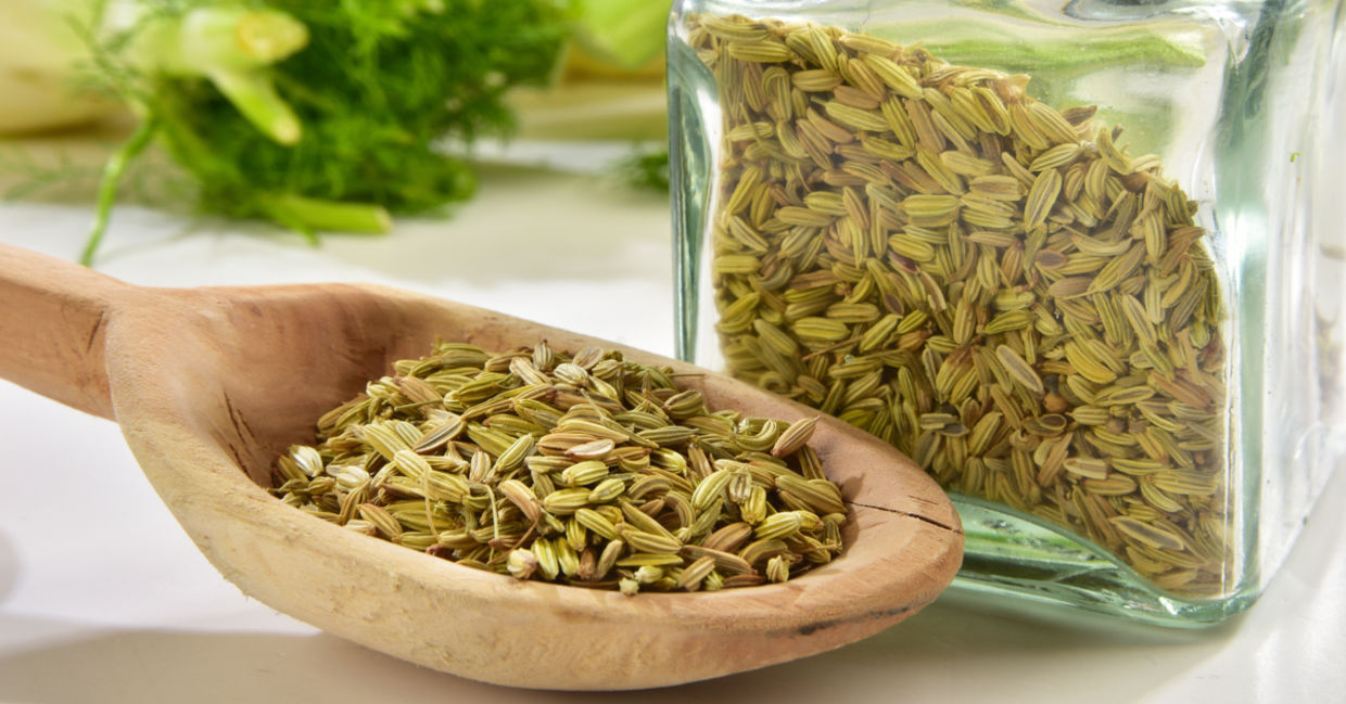 Fennel seeds are very good for you. Fennel seeds are very good for you.