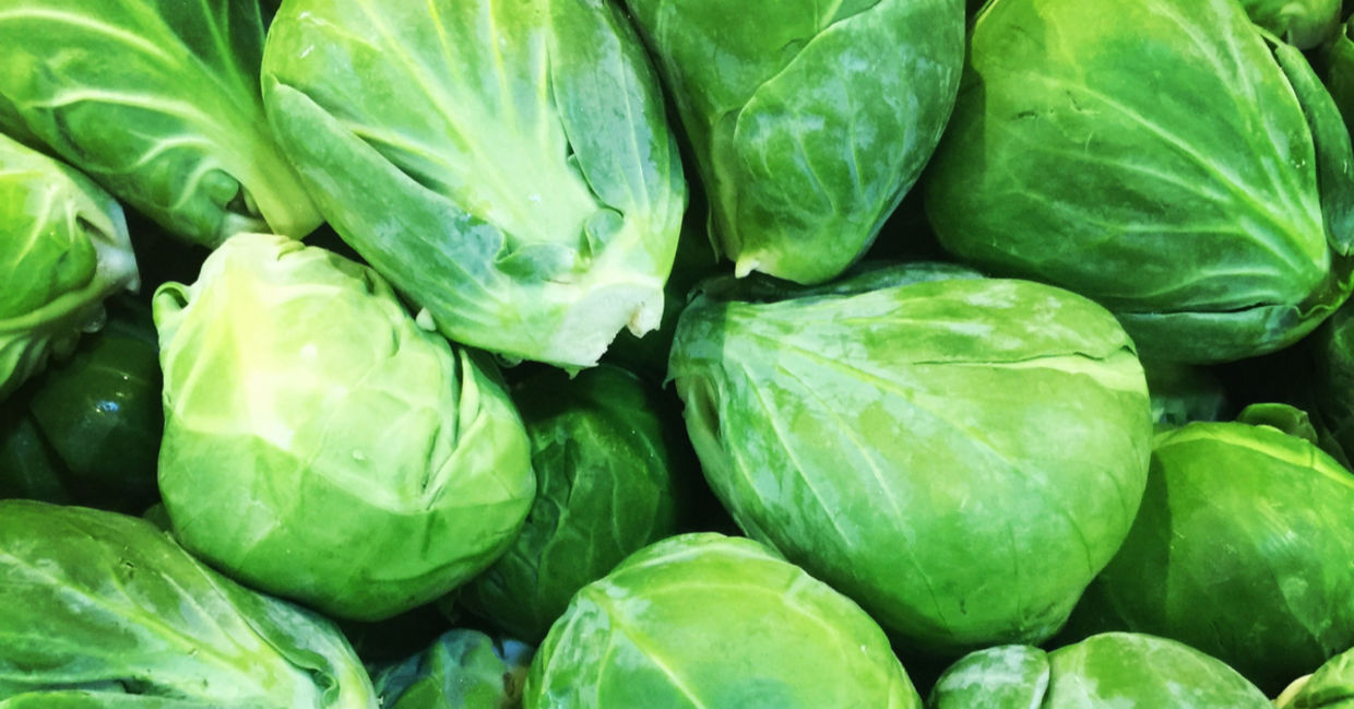 Fresh brussels sprouts. Fresh brussels sprouts.