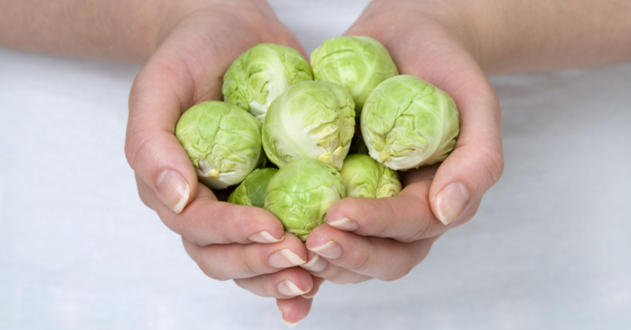 A woman with smooth hands is holding brussels sprouts. A woman with smooth hands is holding brussels sprouts.
