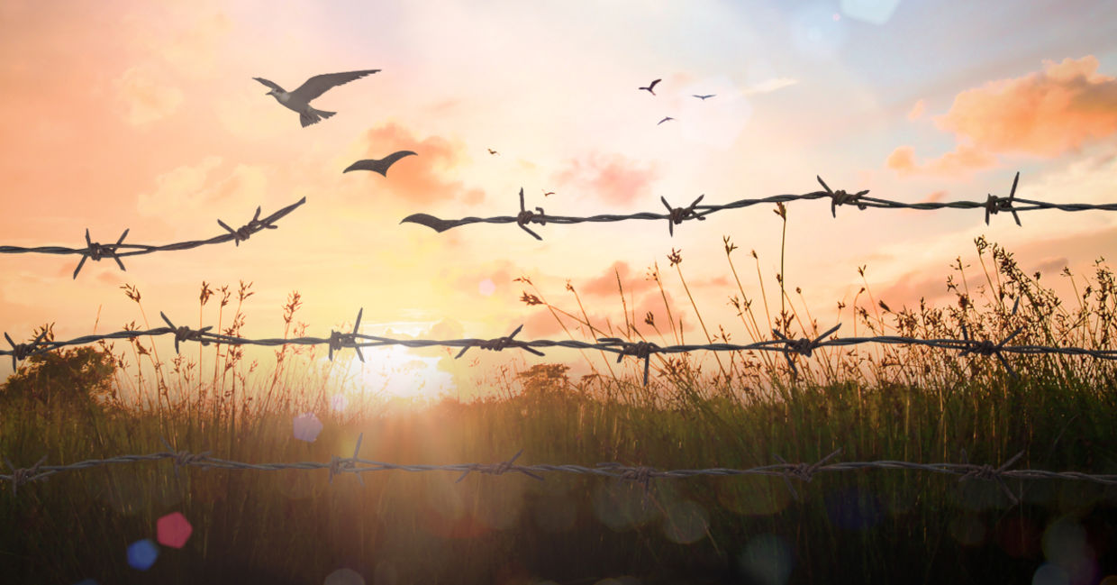 A barbed wire. A barbed wire.