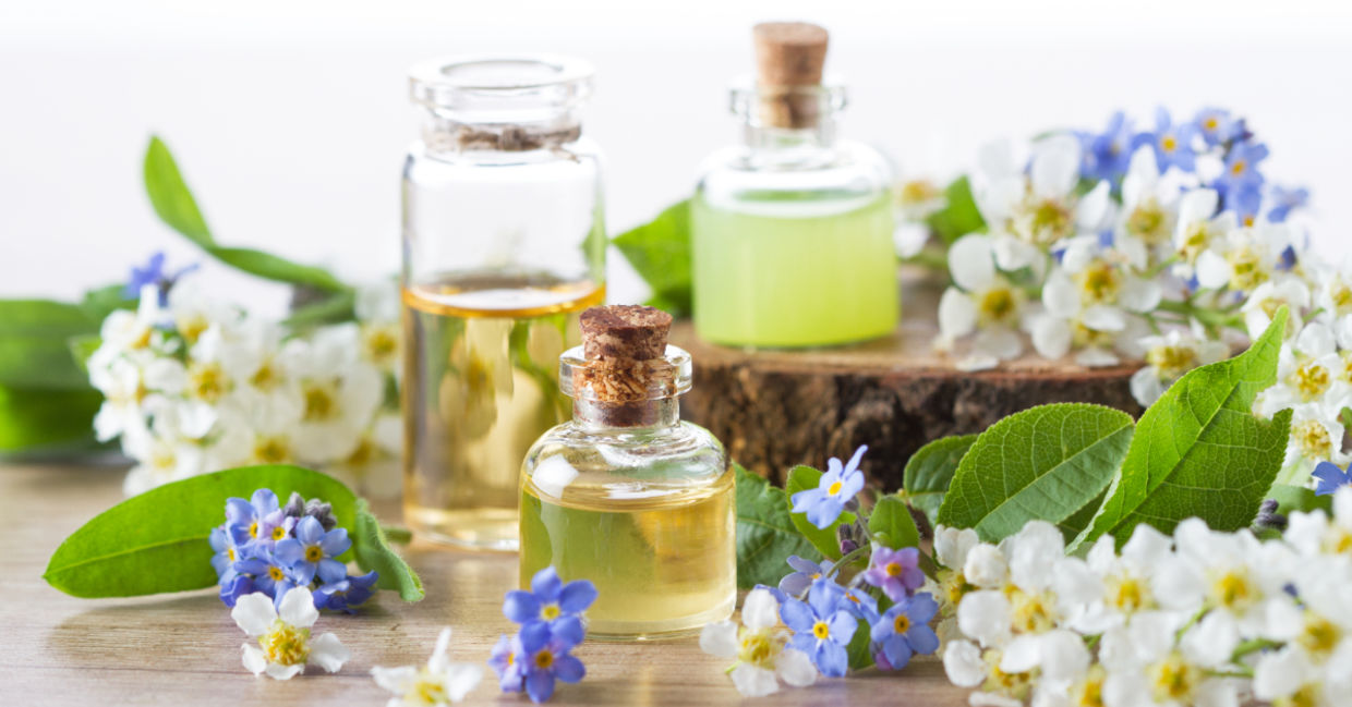 These aromatherapy scents can promote calm and relaxation. These aromatherapy scents can promote calm and relaxation.