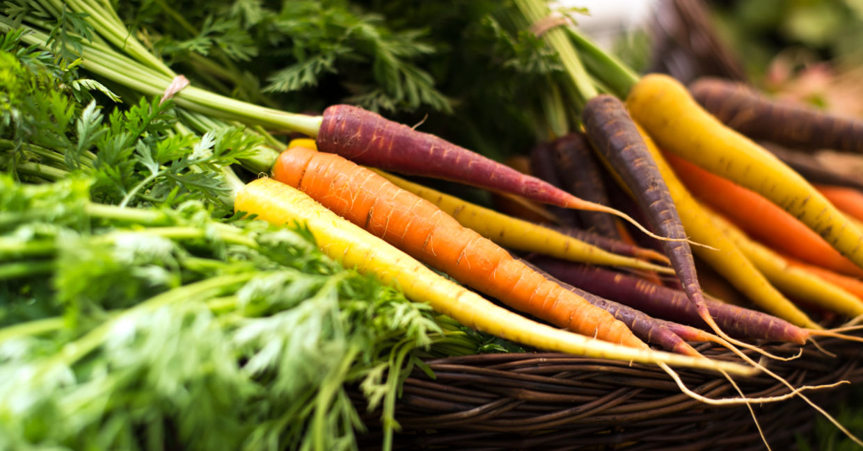 Carrots in a basket. Carrots in a basket.