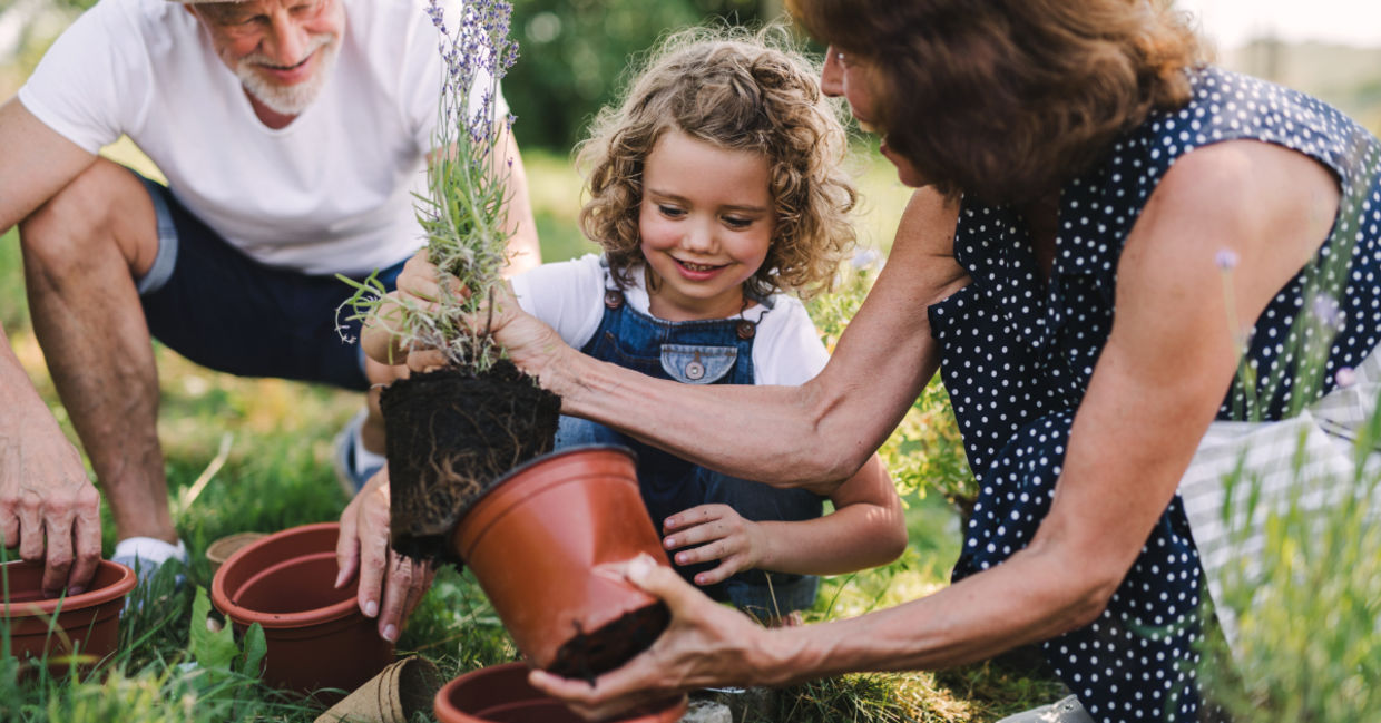 Happy kid and her grandparents working in the garden. Happy kid and her grandparents working in the garden.