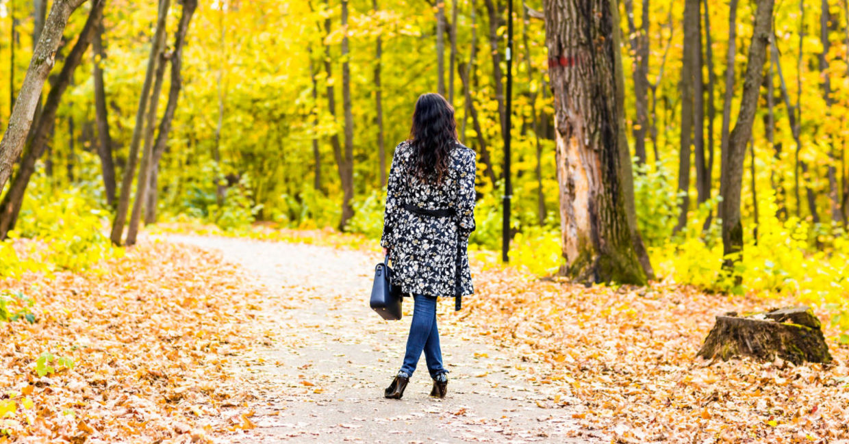 Going for a walk in the park. Going for a walk in the park.