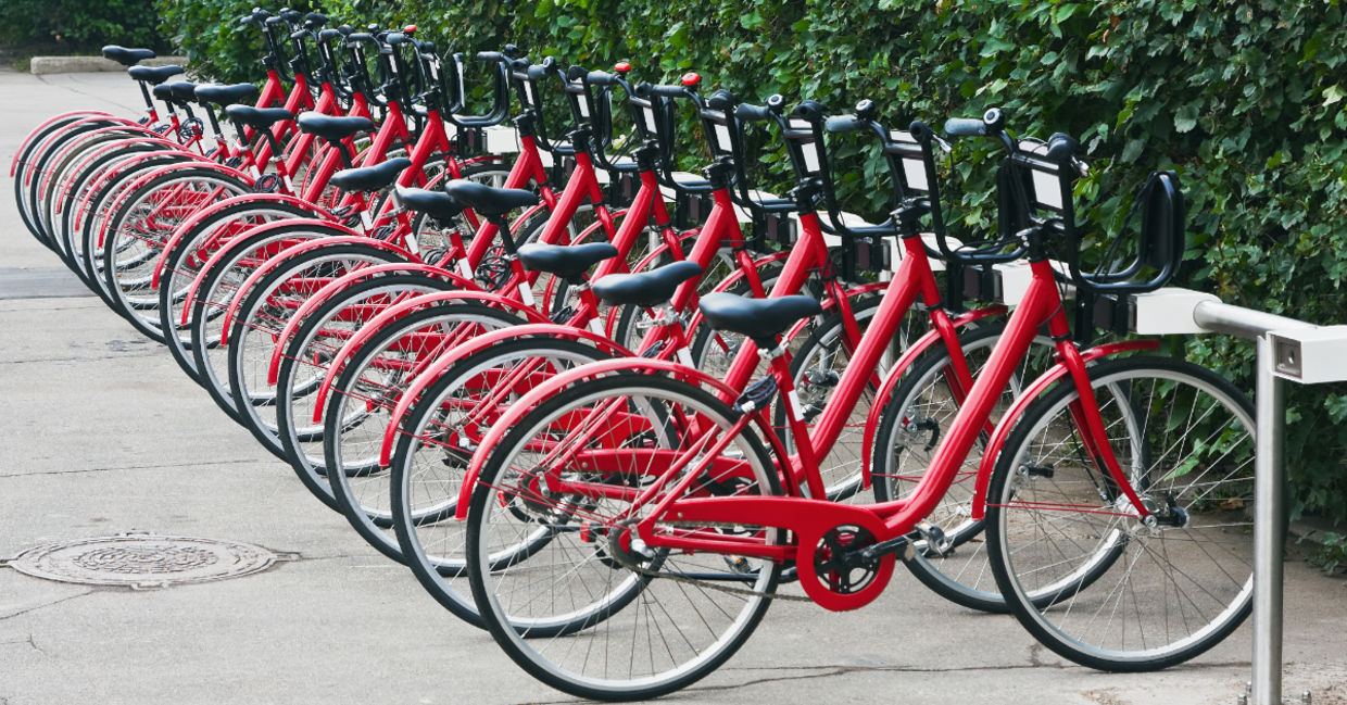 Bicycles for rent. Bicycles for rent.