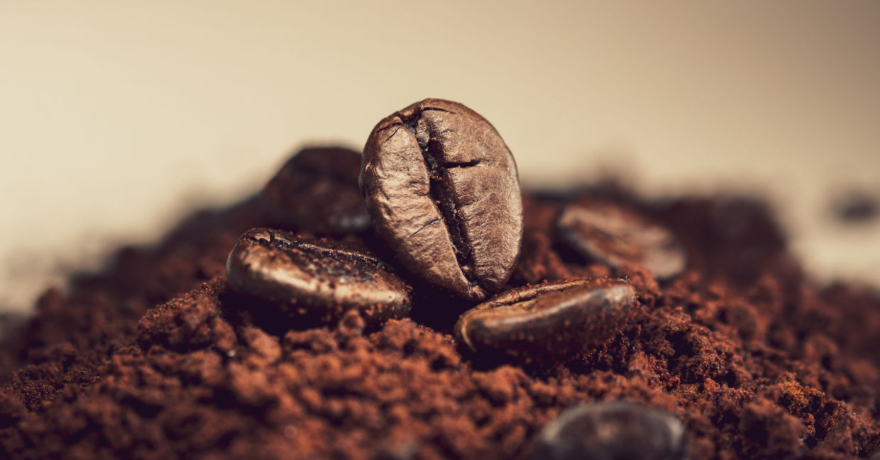 Coffee beans. Coffee beans.