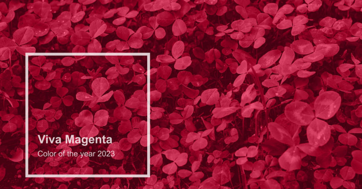 viva Magenta is the color of the year viva Magenta is the color of the year