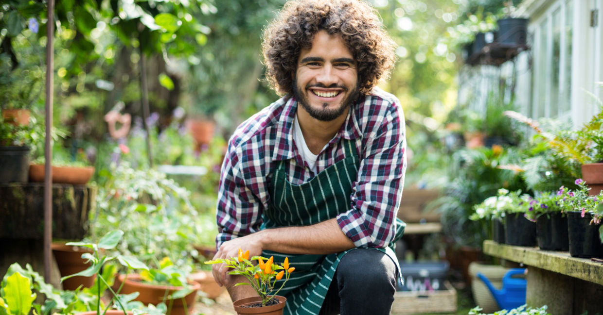 A smiling gardener with a plant. A smiling gardener with a plant.