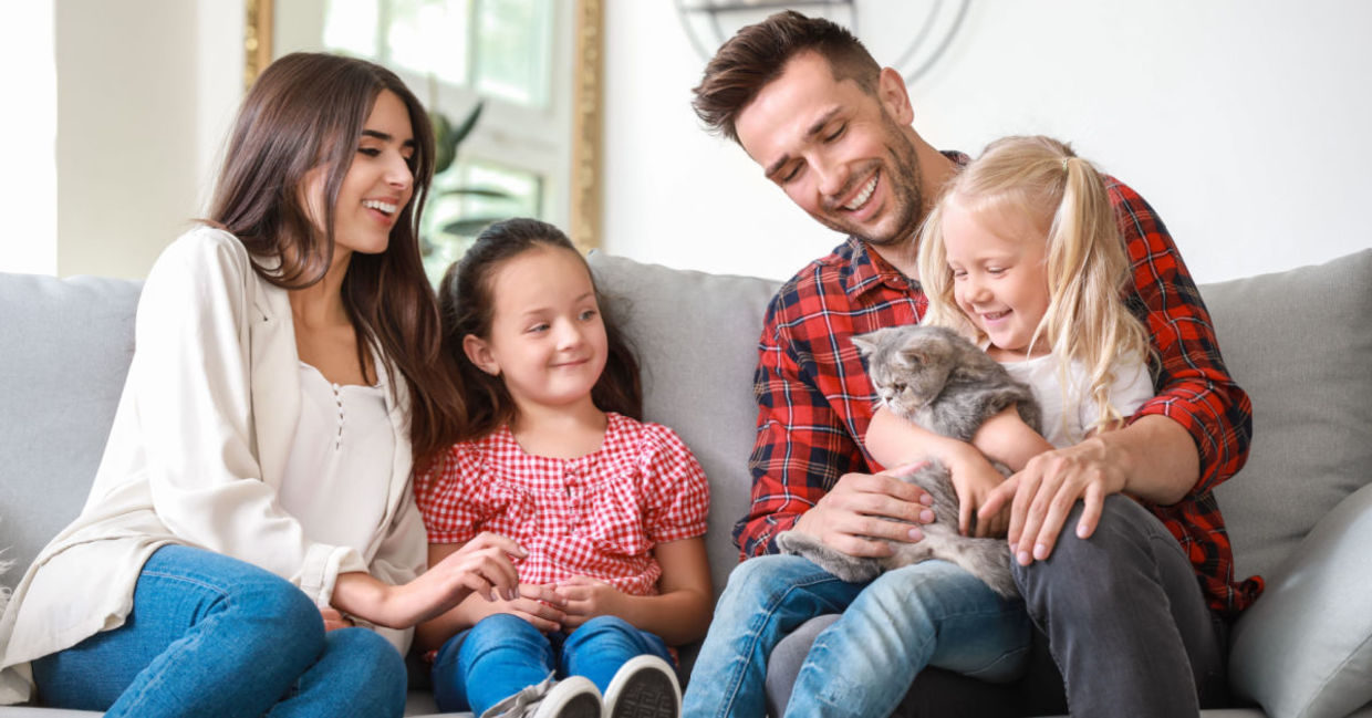 Family watching cat movies together. Family watching cat movies together.