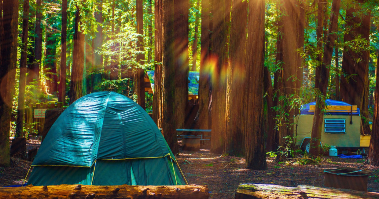 Tent camping at Redwood National Park. Tent camping at Redwood National Park.