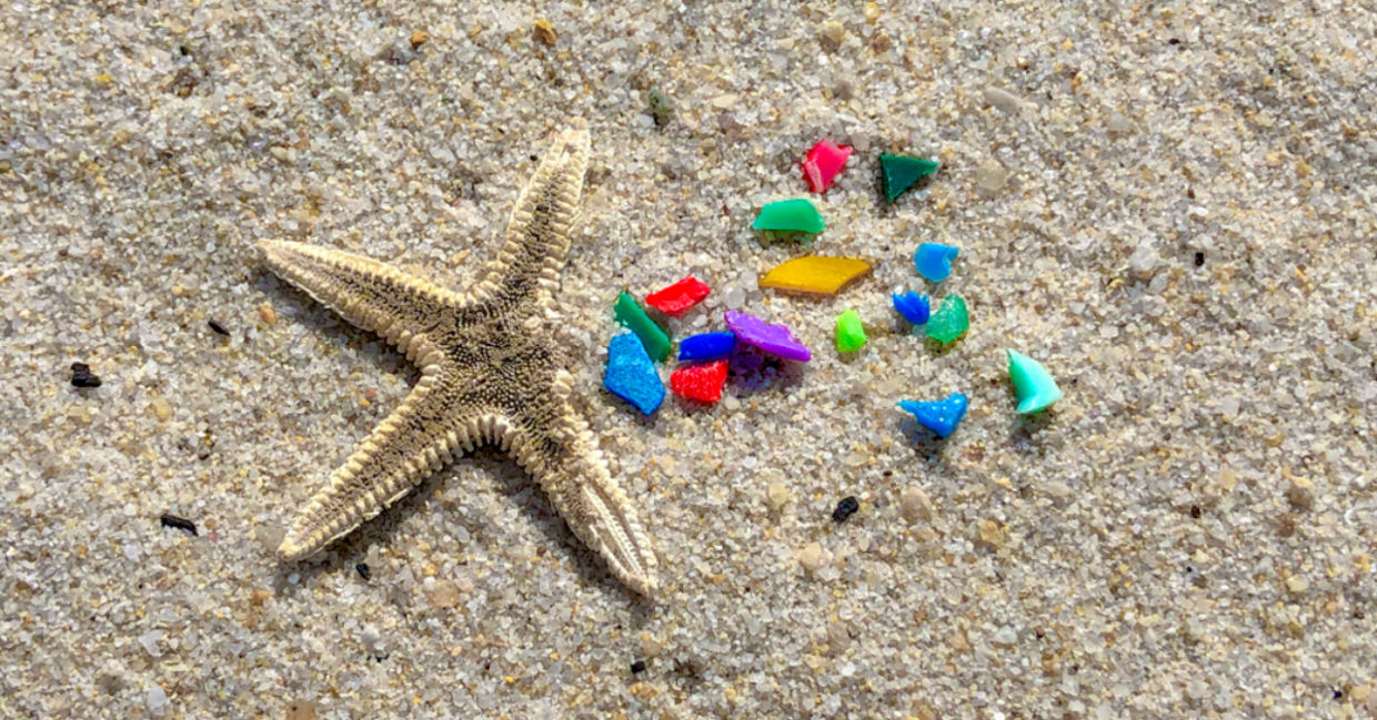 Starfish and microplastics on a beach. Starfish and microplastics on a beach.