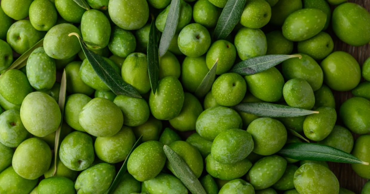 Unprocessed olives. Unprocessed olives.