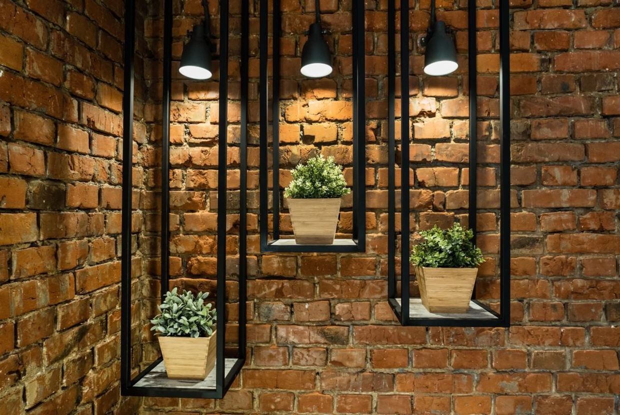 Bring nature into your home with plants. Bring nature into your home with plants.