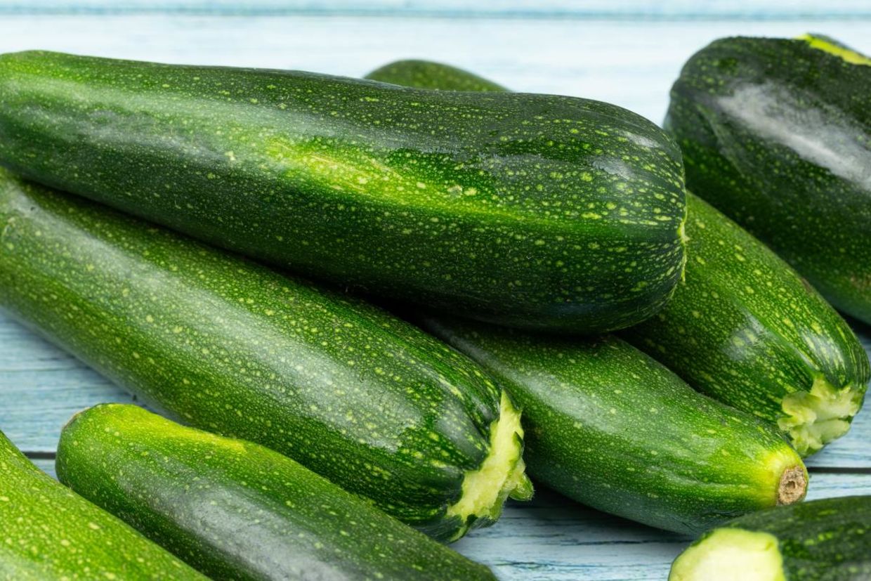 Just picked zucchini. Just picked zucchini.
