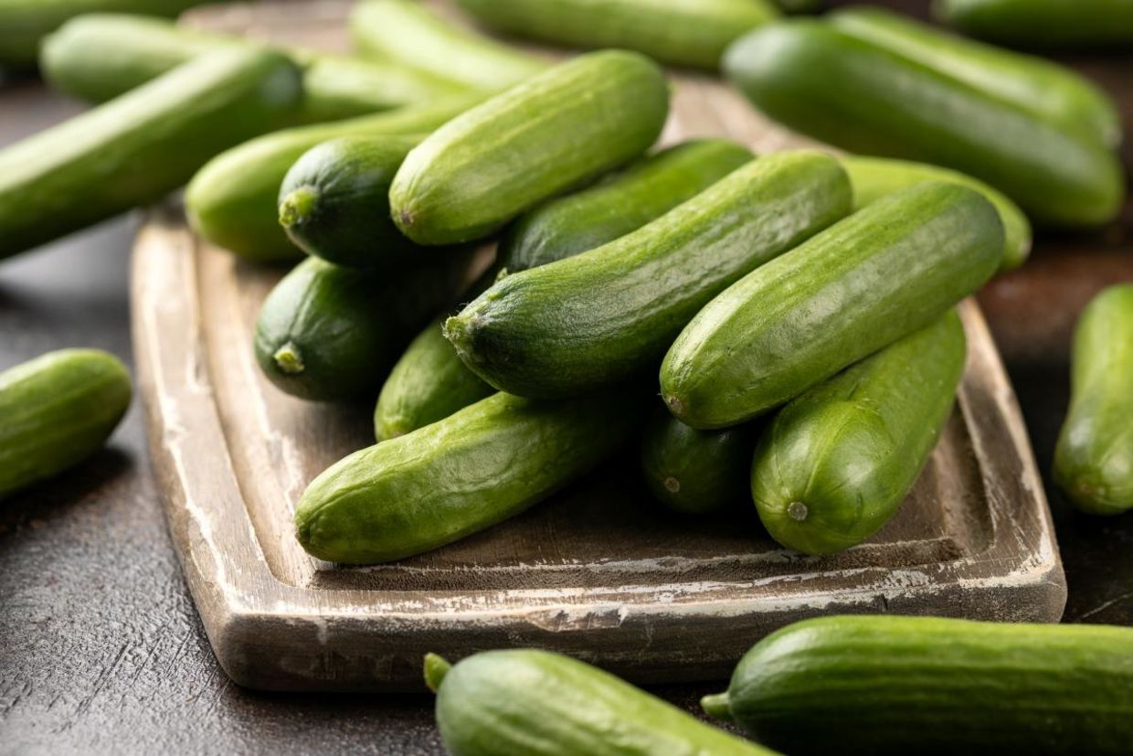 Mini baby cucumbers. Mini baby cucumbers.
